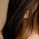 15-13146-99 NY dame