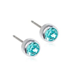 Silver Titanium Bezel 5mm Turquoise